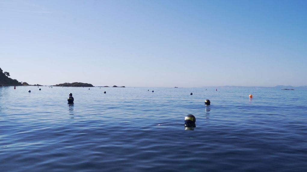 Canvis en els camps de boies de l’Almadrava i cala Montjoi seguint les indicacions de Capitania Marítima.