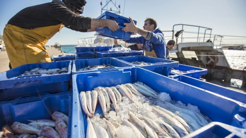Turisme de Roses reprèn activitats i segueix oferint experiències per viure Roses des de diferents vessants