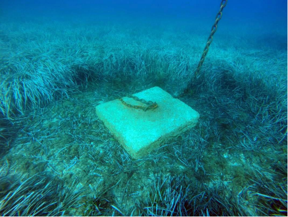 SUBMON vérifiera l'état des posidonies dans les criques de Roses. 07.09.2022