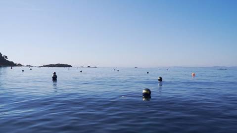 Changes in the buoy fields of Almadrava and Cala Montjoi following the indications of Capitanía Marítima.