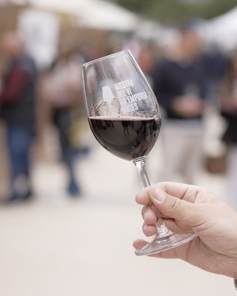 Roses vive un abril dedicado al mundo del vino: Muestra del Vino DO Empordà y talleres de cata en el Aula Gastronómica